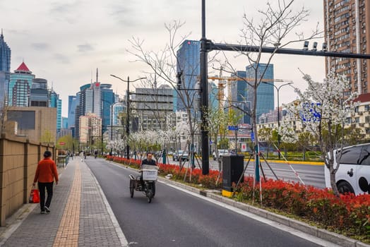 Shanghai, China - 1 April 2025: Colorful sunset in Pudong with flowering branches. Chinese citizens crossing street. Urban spring view