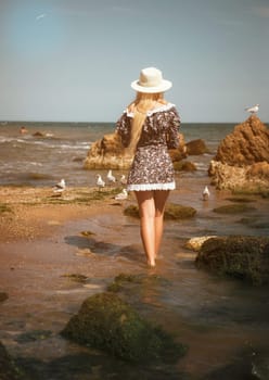 Blonde in a short summer dress and a light hat stands on the beach, with her back to the camera. The girl stands among the stones and waves of the sea, feeding seagulls. Vacation concept