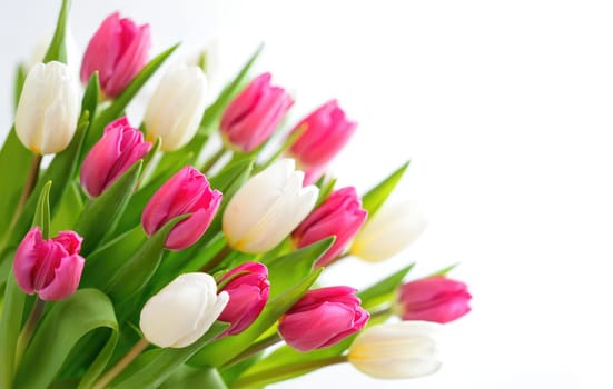 A vibrant bouquet of pink and white tulips is arranged with lush green leaves. The soft background enhances the floral colors, creating a fresh spring atmosphere.