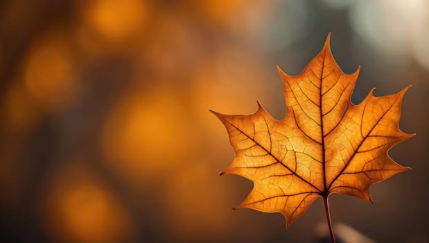 A vibrant orange leaf delicately rests with prominent veins visible, set against a soft focus backdrop of warm autumn hues. Nature showcases its stunning seasonal transformation.