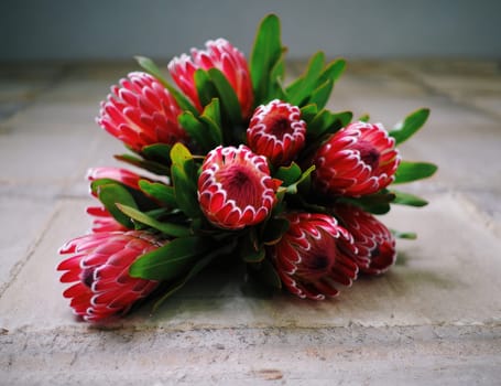 A bouquet of bright red protea flowers is displayed on a textured stone surface. The flowers showcase vibrant colors and unique shapes, creating a beautiful natural arrangement in daylight.