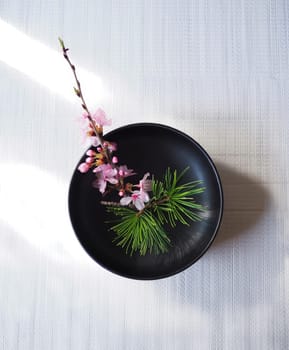 A serene composition of cherry blossoms and pine needles arranged in a minimalist black bowl. Soft natural light illuminates the delicate colors, creating a peaceful ambiance.