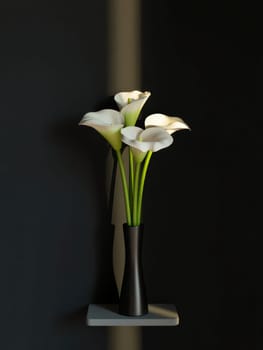 A bouquet of calla lilies sits gracefully in a modern black vase on a shelf. The dark wall enhances the soft white blooms, creating a striking visual contrast in the setting.