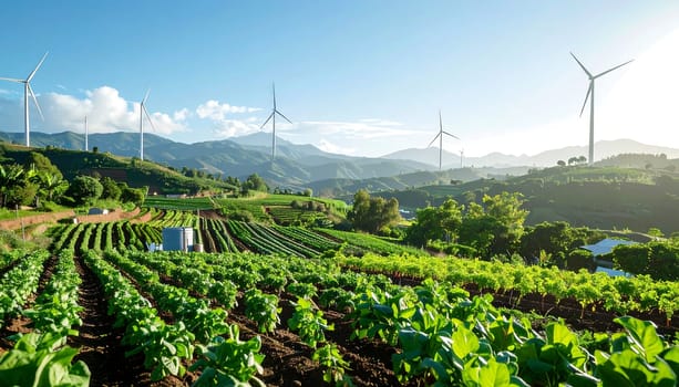 Sustainable vegetable garden.Mountainous background in the countryside. Promotion and campaigns of sustainable agriculture. Clean energy
