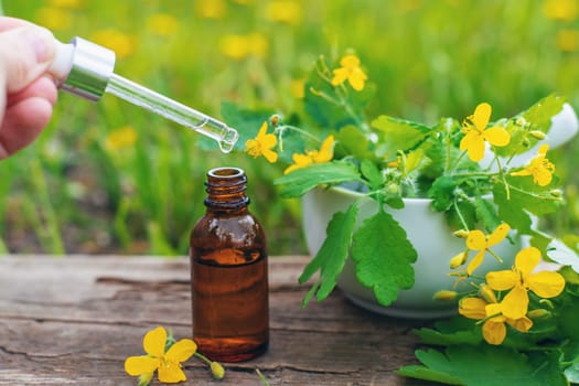 Medicinal herb celandine extract and dietary supplements. Selective focus. Nature.
