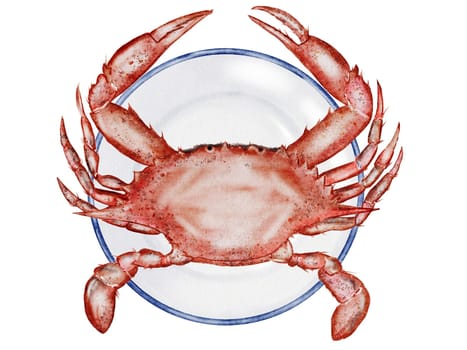 Crab watercolor. Hand drawn sea animal on a plate, on isolated white background. Clip art sea food. Ideal for restaurant menus, packaging, cards and logo of organic ocean product. High quality illustration
