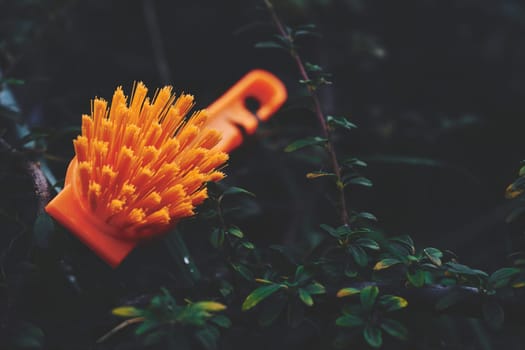 an implement consisting of a sponge or a bundle of thick loose strings attached to a handle