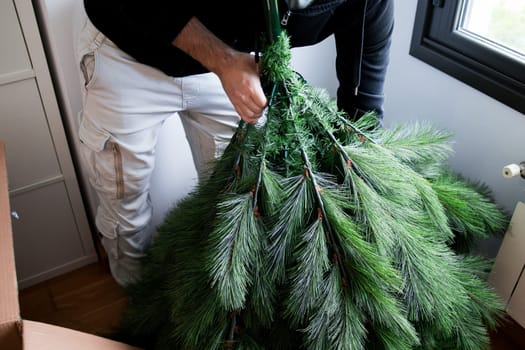 Caucasian male adult assembling artificial Christmas tree indoors.