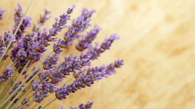 A close-up of lavender flowers displays rich purple blooms with delicate details. Vibrant colors stand out against a warm, neutral background, enhancing the beauty of the natural arrangement.