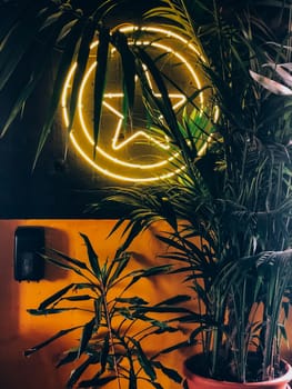 Neon star sign surrounded by tropical plants creating exotic ambient background, 