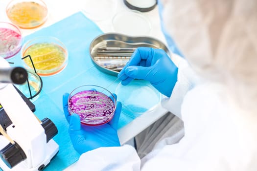 Examine bacteria in petri dishes in the laboratory. Selective focus. nature.