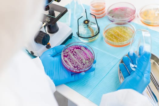 Examine bacteria in petri dishes in the laboratory. Selective focus. nature.