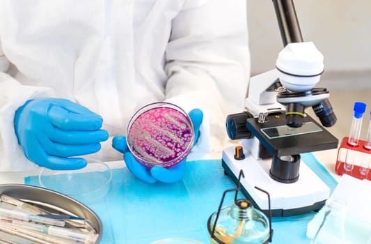 Examine bacteria in petri dishes in the laboratory. Selective focus. nature.