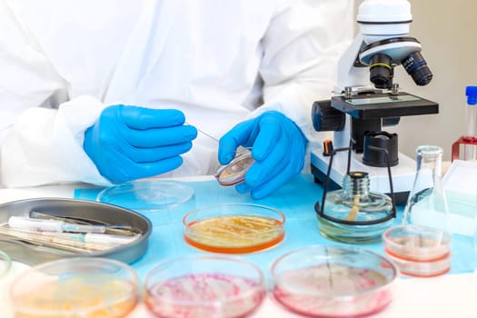 Examine bacteria in petri dishes in the laboratory. Selective focus. nature.