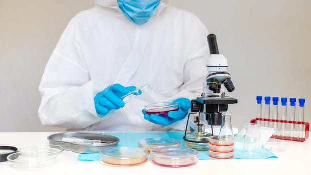 Examine bacteria in petri dishes in the laboratory. Selective focus. nature.