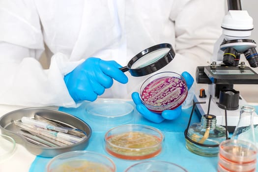 Examine bacteria in petri dishes in the laboratory. Selective focus. nature.