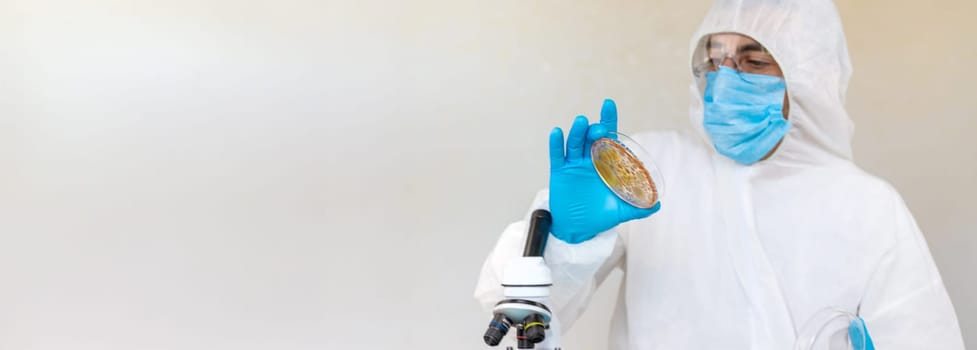 Examine bacteria in petri dishes in the laboratory. Selective focus. nature.