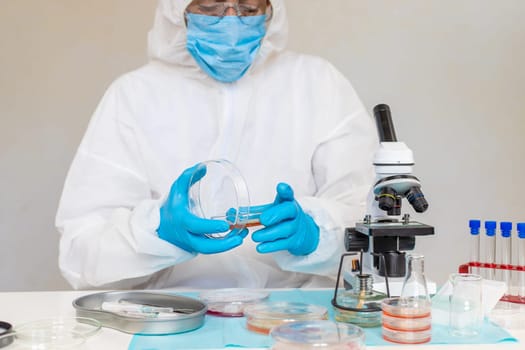 Examine bacteria in petri dishes in the laboratory. Selective focus. nature.