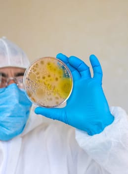 Examine bacteria in petri dishes in the laboratory. Selective focus. nature.