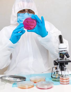 Examine bacteria in petri dishes in the laboratory. Selective focus. nature.
