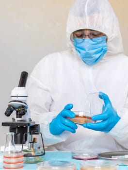 Examine bacteria in petri dishes in the laboratory. Selective focus. nature.
