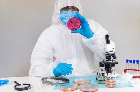 Examine bacteria in petri dishes in the laboratory. Selective focus. nature.