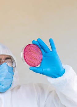 Examine bacteria in petri dishes in the laboratory. Selective focus. nature.