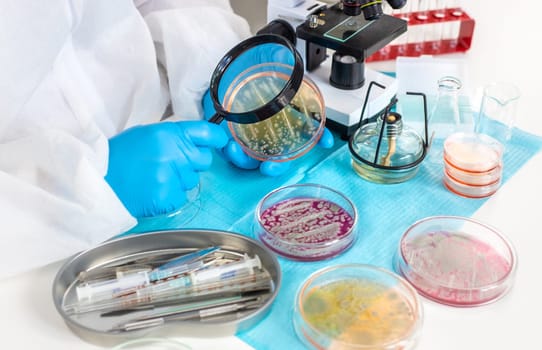 Examine bacteria in petri dishes in the laboratory. Selective focus. nature.