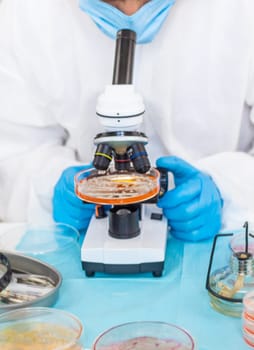 Examine bacteria in petri dishes in the laboratory. Selective focus. nature.