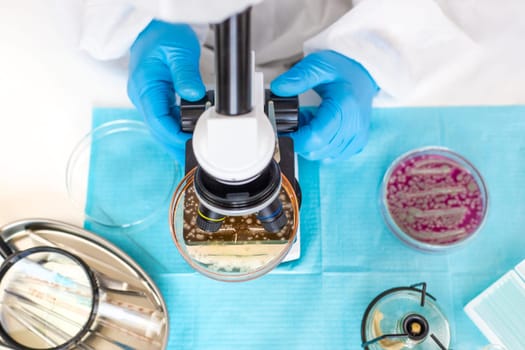 Examine bacteria in petri dishes in the laboratory. Selective focus. nature.