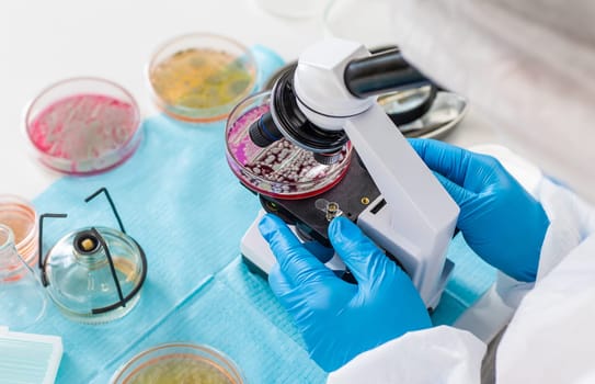 Examine bacteria in petri dishes in the laboratory. Selective focus. nature.