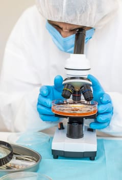 Examine bacteria in petri dishes in the laboratory. Selective focus. nature.
