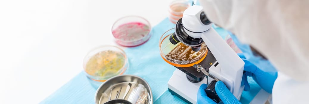 Examine bacteria in petri dishes in the laboratory. Selective focus. nature.