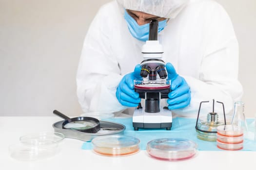 Examine bacteria in petri dishes in the laboratory. Selective focus. nature.