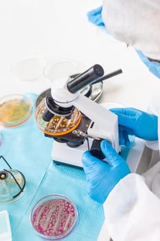 Examine bacteria in petri dishes in the laboratory. Selective focus. nature.