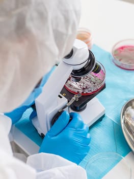 Examine bacteria in petri dishes in the laboratory. Selective focus. nature.