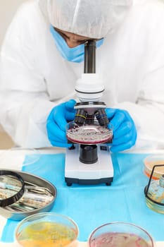 Examine bacteria in petri dishes in the laboratory. Selective focus. nature.