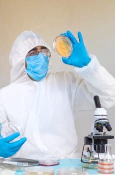 Examine bacteria in petri dishes in the laboratory. Selective focus. nature.