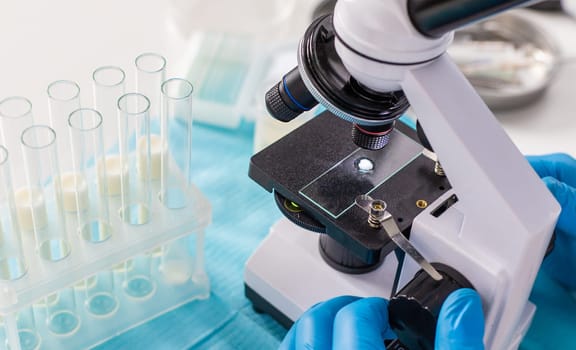 Examine milk in the laboratory. Selective focus. medicine