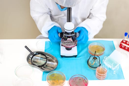 Examine bacteria in petri dishes in the laboratory. Selective focus. nature.