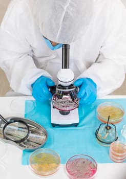 Examine bacteria in petri dishes in the laboratory. Selective focus. nature.