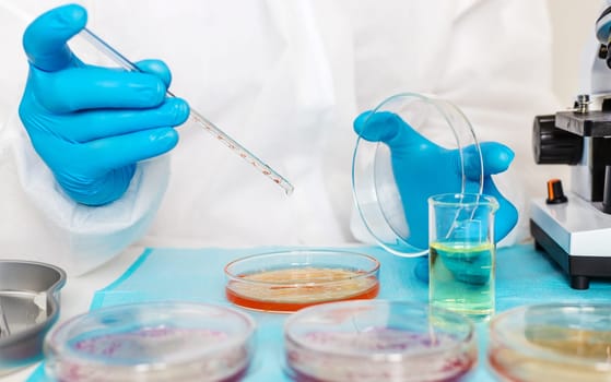 Examine bacteria in petri dishes in the laboratory. Selective focus. nature.