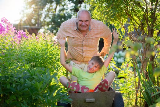 Grandfather giving happy grandson ride in garden wheelbarrow on summer day. Happy summer holidays. Family relaxing in garden.