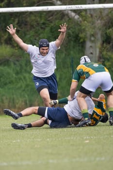 3 may 2025, lisbon. Portugal - oeiras vs ag - rugby player scoring and celebrating with arms raised, while other players tackle each other during a match