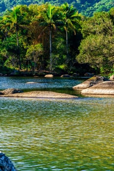 River that flows into Bonete beach surrounded by tropical forest on the island of Ilhabela