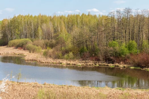 Landscape shot of the river among the blooming trees