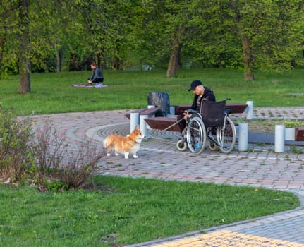 Minsk, Belarus - 05.04.2025 - People enjoying first sunny days outdoors. Disabled man with wheelchair and the dog