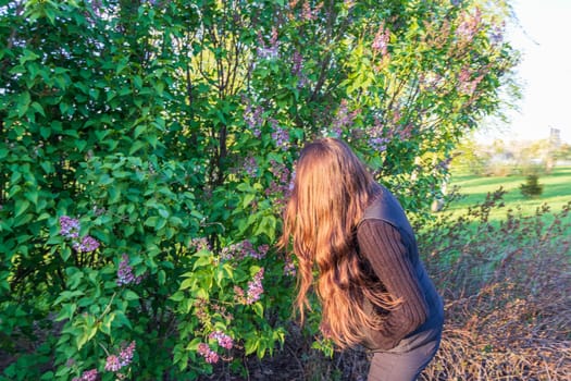 Woman picks flowers from the bush