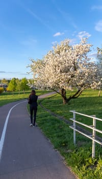 Woman takes photo with her of the blooming with flowers fruit tree in the park