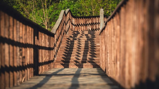 Symmetrical view of a wooden staircase and boardwalk casting strong diagonal shadows from the railing in a forested area under warm sunlight